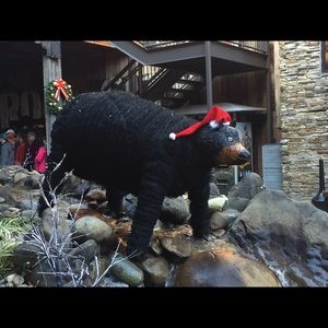 Meet your Posher, Austin